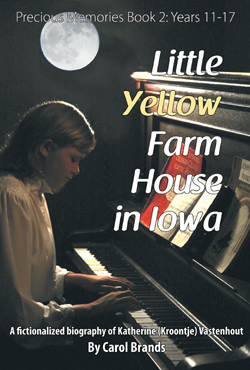 Little Yellow Farm House in Iowa